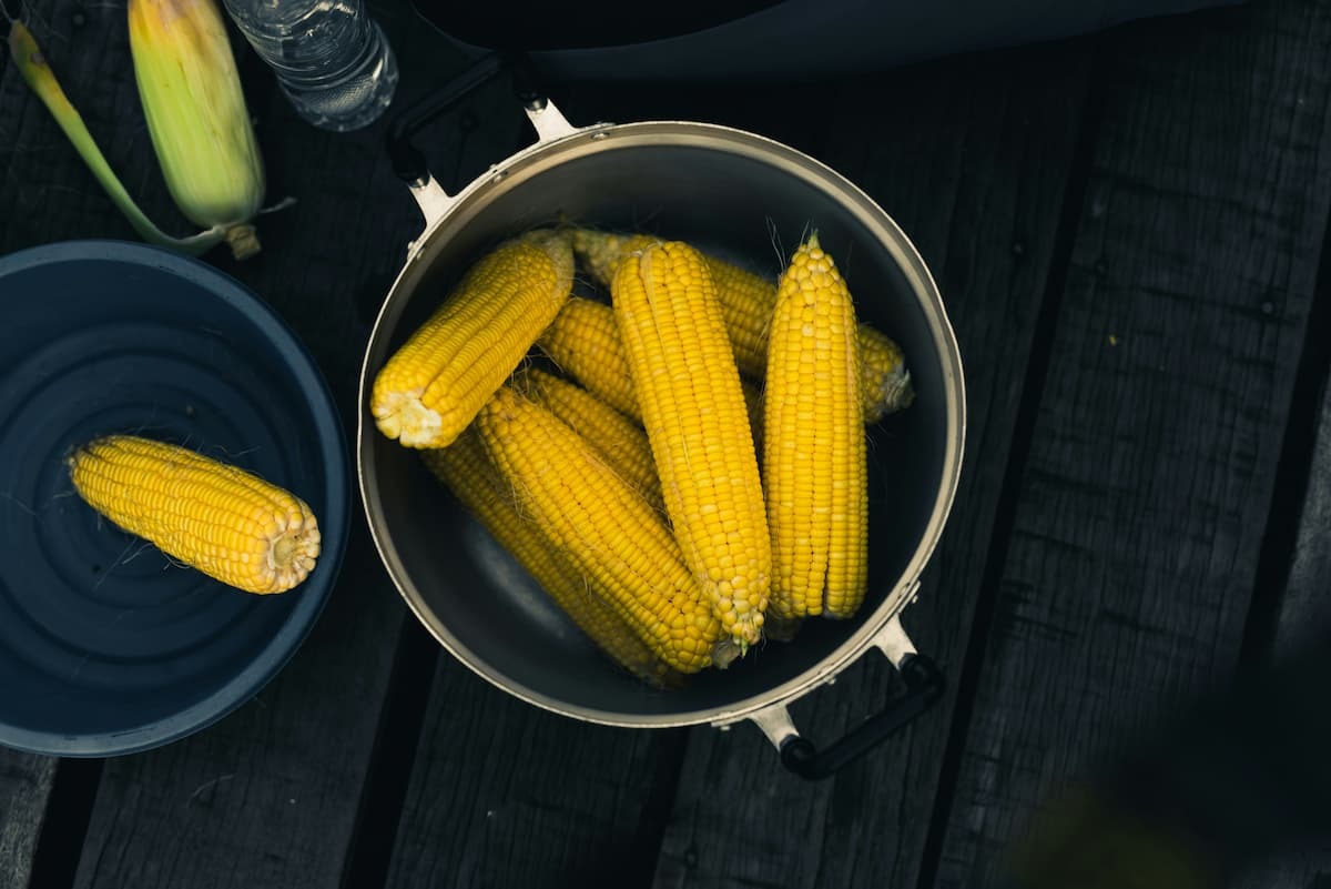 surprising-benefits-of-corn